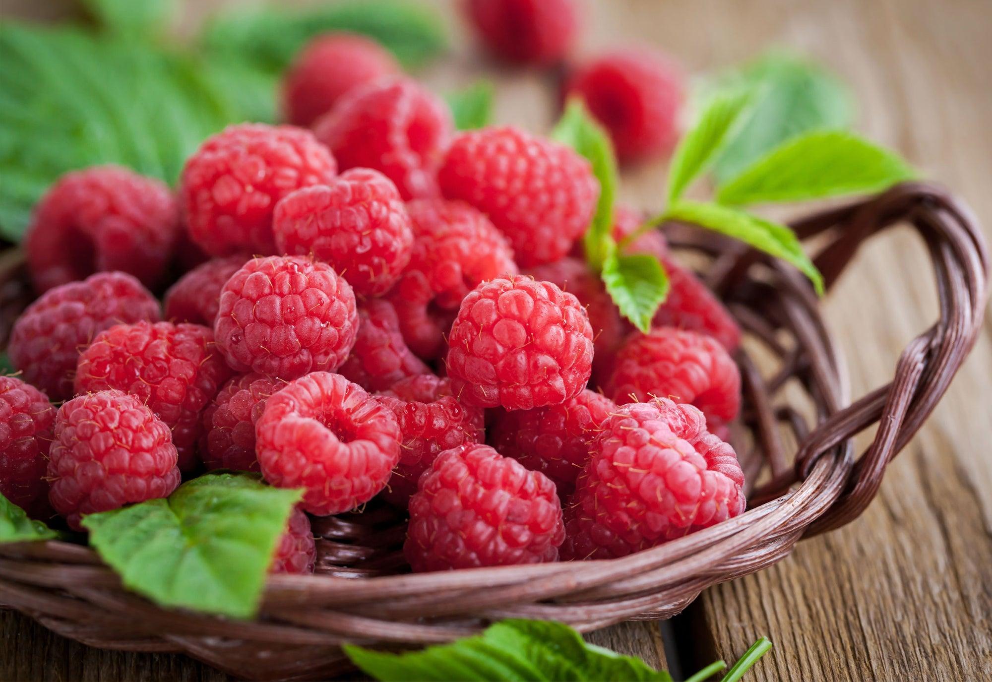Raspberry Aromas - LOMA RETAIL