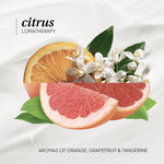 Citrus Body Wash - LOMA RETAIL