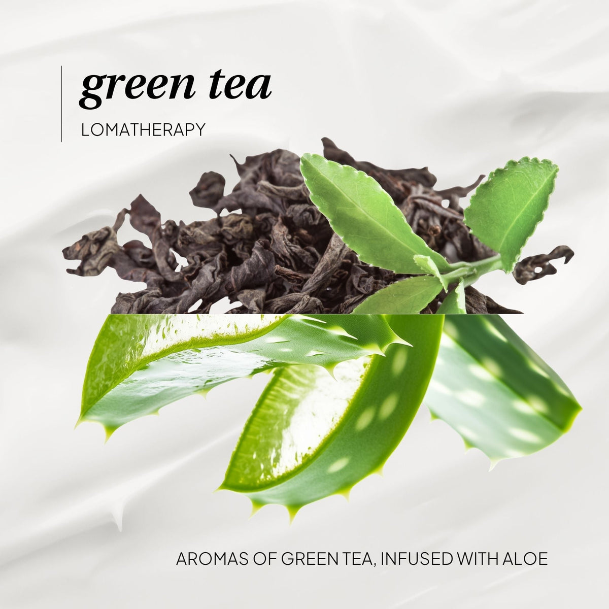 Green Tea Hand & Body Lotion - LOMA RETAIL