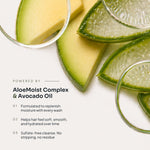 Moisturizing Treatment - LOMA RETAIL