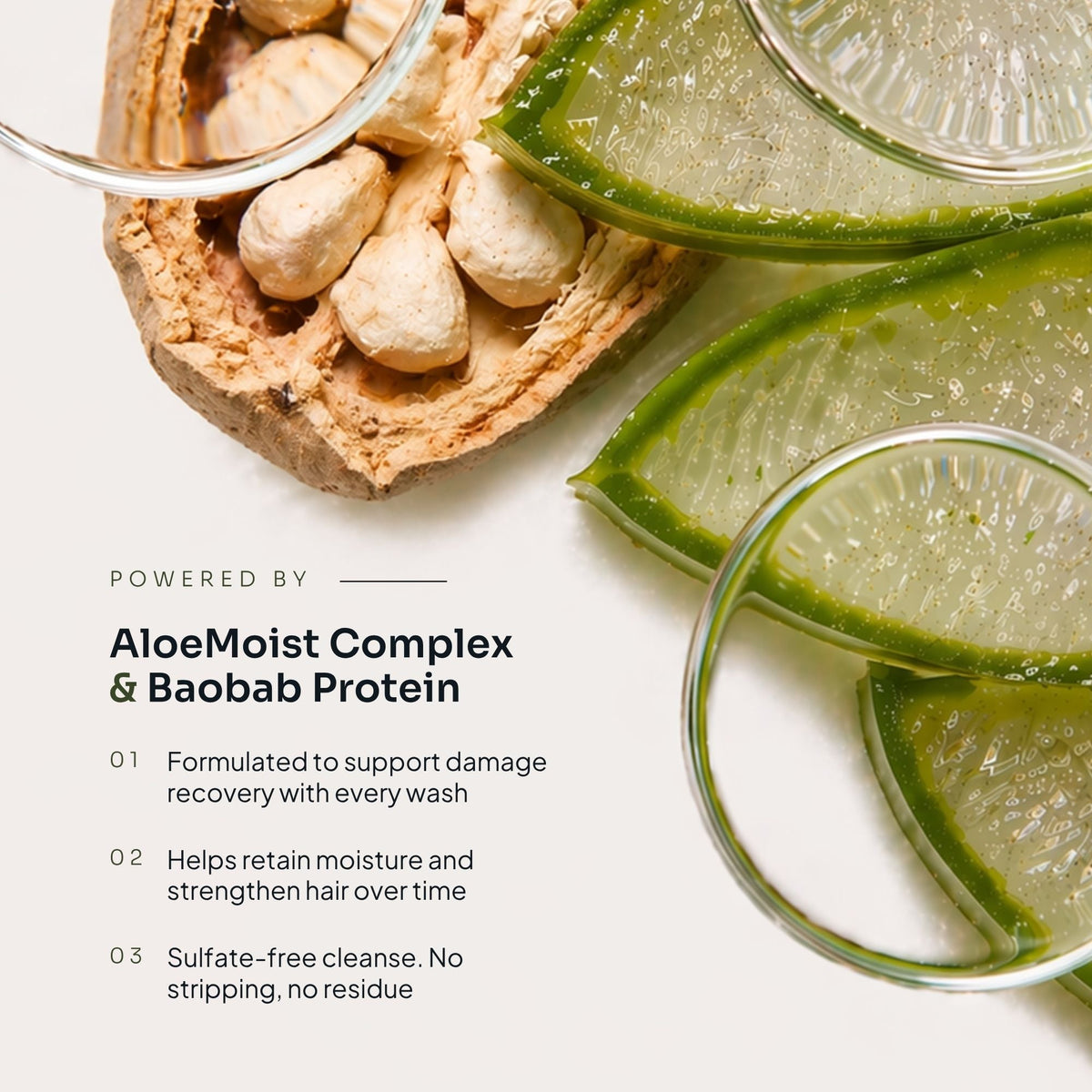 Nourishing Shampoo - LOMA RETAIL