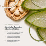 Nourishing Shampoo - LOMA RETAIL